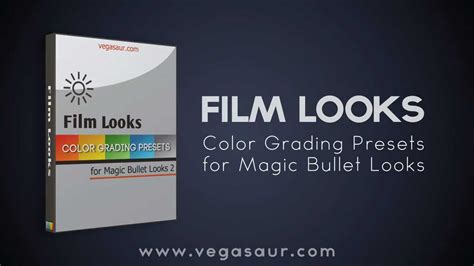 Getting the most out of Magic Bullet Looks: is it worth the investment?
